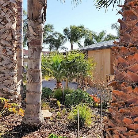 The Courtyard - Garden View Studio Port Pirie Esterno foto